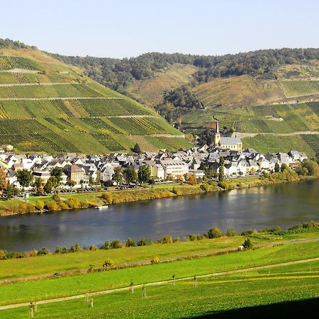 Weinstube Pension Moselbluemchen Zeltingen-Rachtig Eksteriør bilde